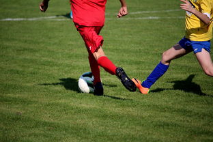 开云体育链接-国家队与俱乐部之间协调机制为何不顺畅，国家队比赛和俱乐部比赛冲突  第1张